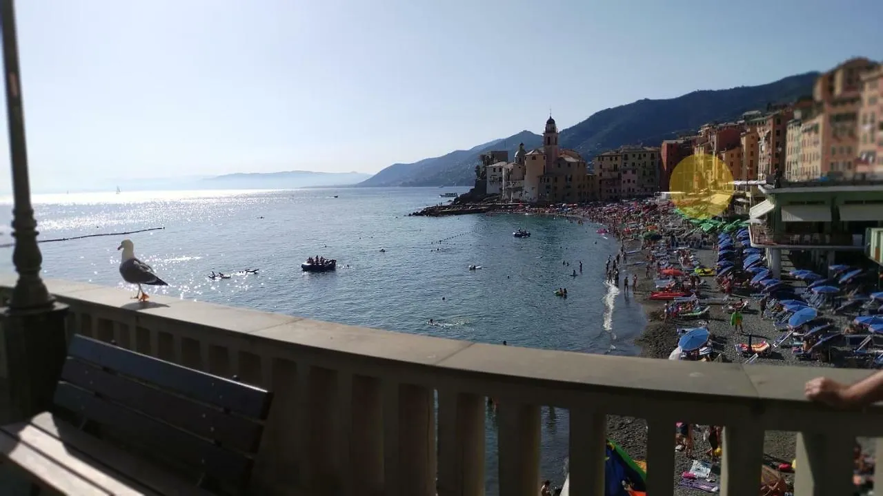 شقة كامولّي  في La Casa Di Alina Sulla Spiaggia